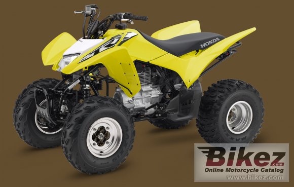 Honda TRX 250 model overview